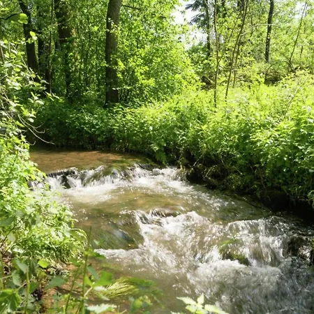 Scenic In Ovifat, Cleaning Included Chalet Ovifat