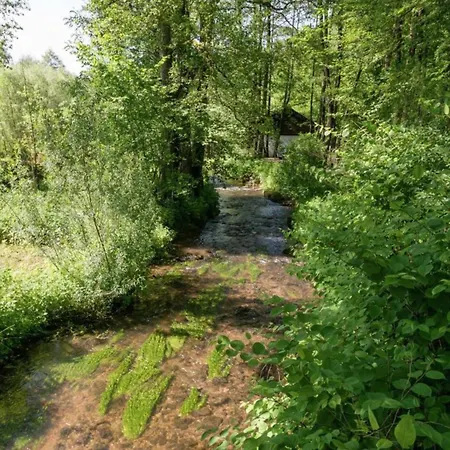 Scenic In Ovifat, Cleaning Included * Ovifat